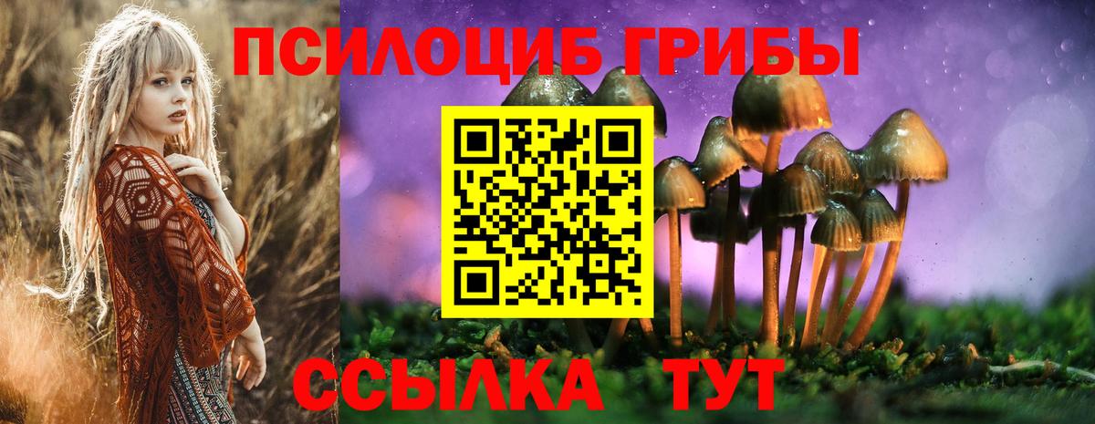 Избербаш  Галлюциногенные грибы GOLDEN TEACHER  продажа наркотиков  Вход с VPN 