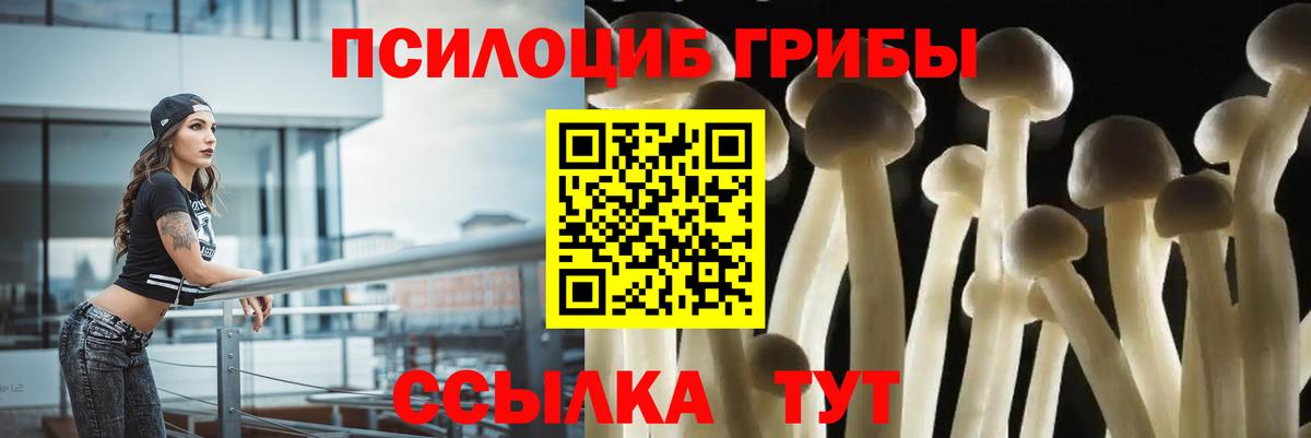 Галлюциногенные грибы MAGIC MUSHROOMS Избербаш